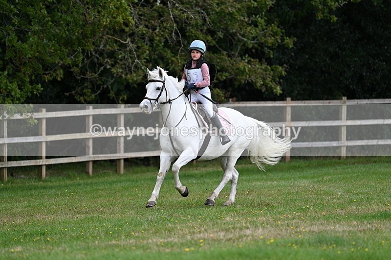 WJ7_8439 - 60cm Time 12:11 to 12:30