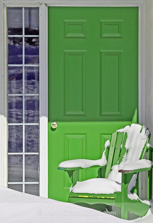 Winter's Contrast - Winterscape