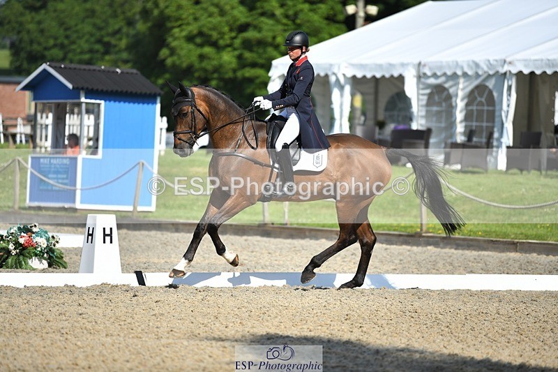 230525-092739-01601 - 305-BARRINGTON_57-Izzy_Taylor-WEDTrotUp+DR