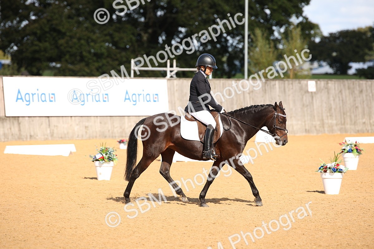 SBM_01978 - D2 Small Tour Championship Intro C