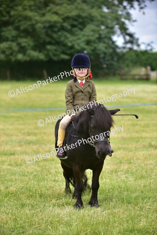 20260614-3694 - Class 15 - Prettiest Mare