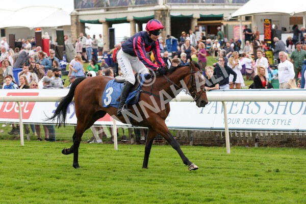 yr11062022r1-162 - Race 1 12.45pm Macmillan Ride of Their Lives, supported by Sky Bet