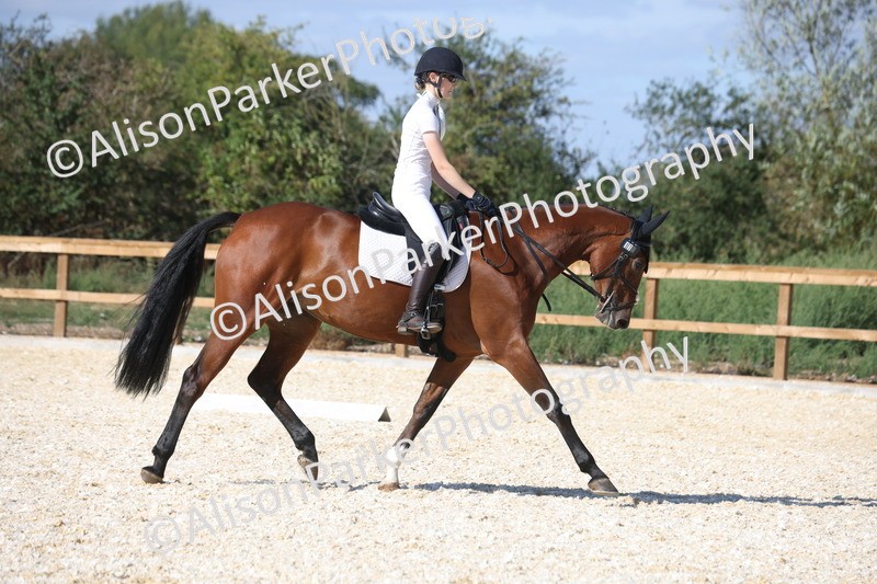 20260905-1513 - Class 5 - Novice 2