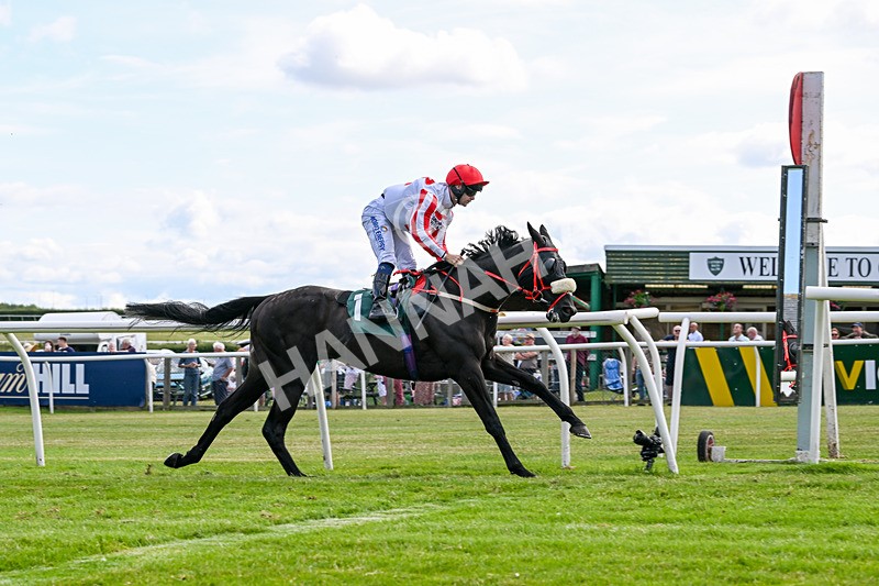 090725-Race 5-Cosmic Soul-3480 - Race 5