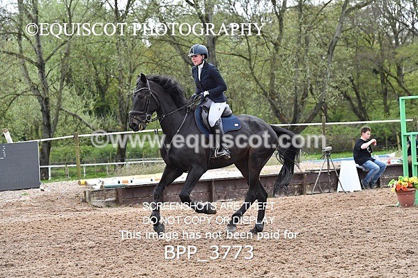 BPP_3773 - SAT CLASS 14 Senior 1.00m Speed Qualifier
