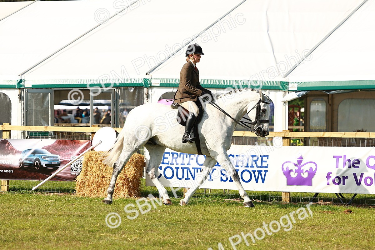 SBM_10874 - Class 66-69 - RIHS Ridden Hunters Inc Small Hunter