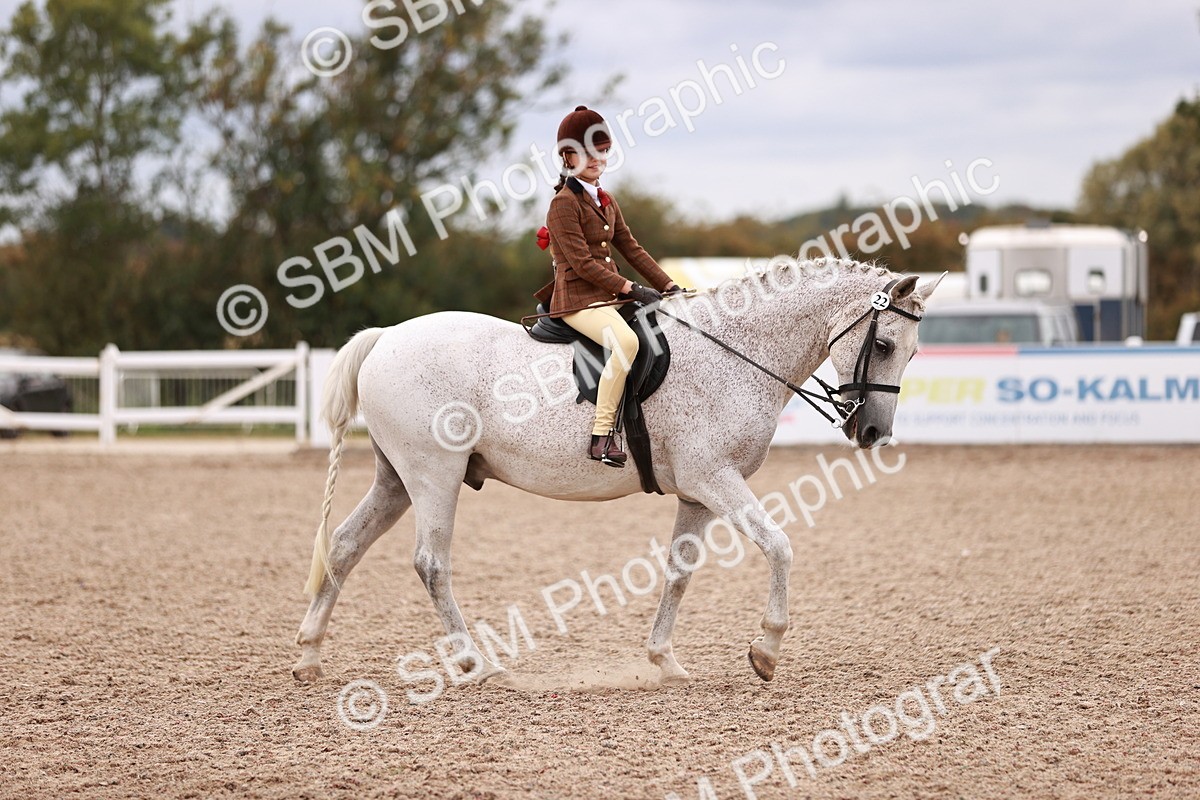 SBM_18533 - Class 421 - Childs Best Friend - Jnr