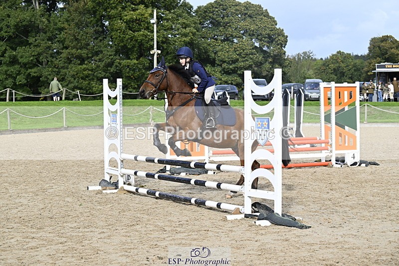 251005A-121205-03647 - Cls 08 Mini 70-75cm