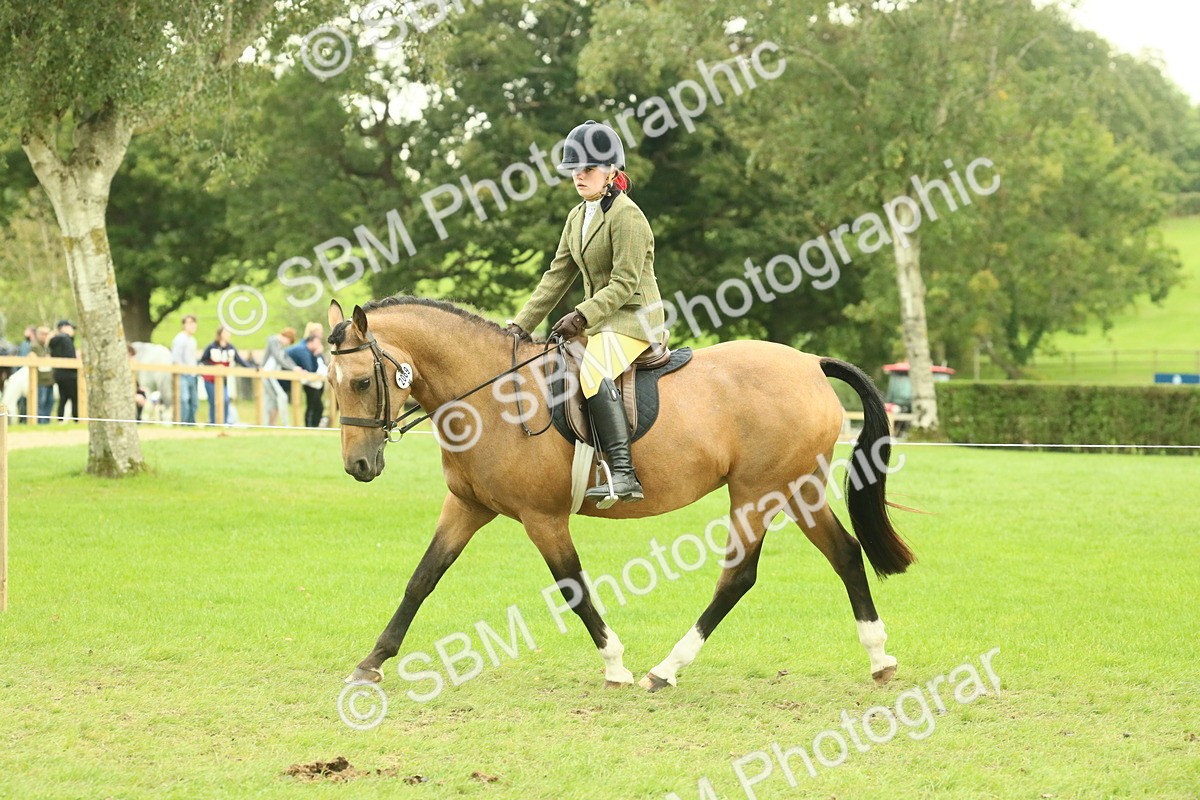 SBM_73957 - S 61 - Show Pony & Show Hunter Pony Ridden