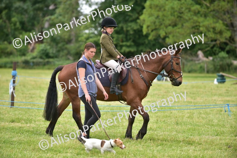 20260614-4531 - Class 19 - Cutest Pony, Rider and Dog Combination