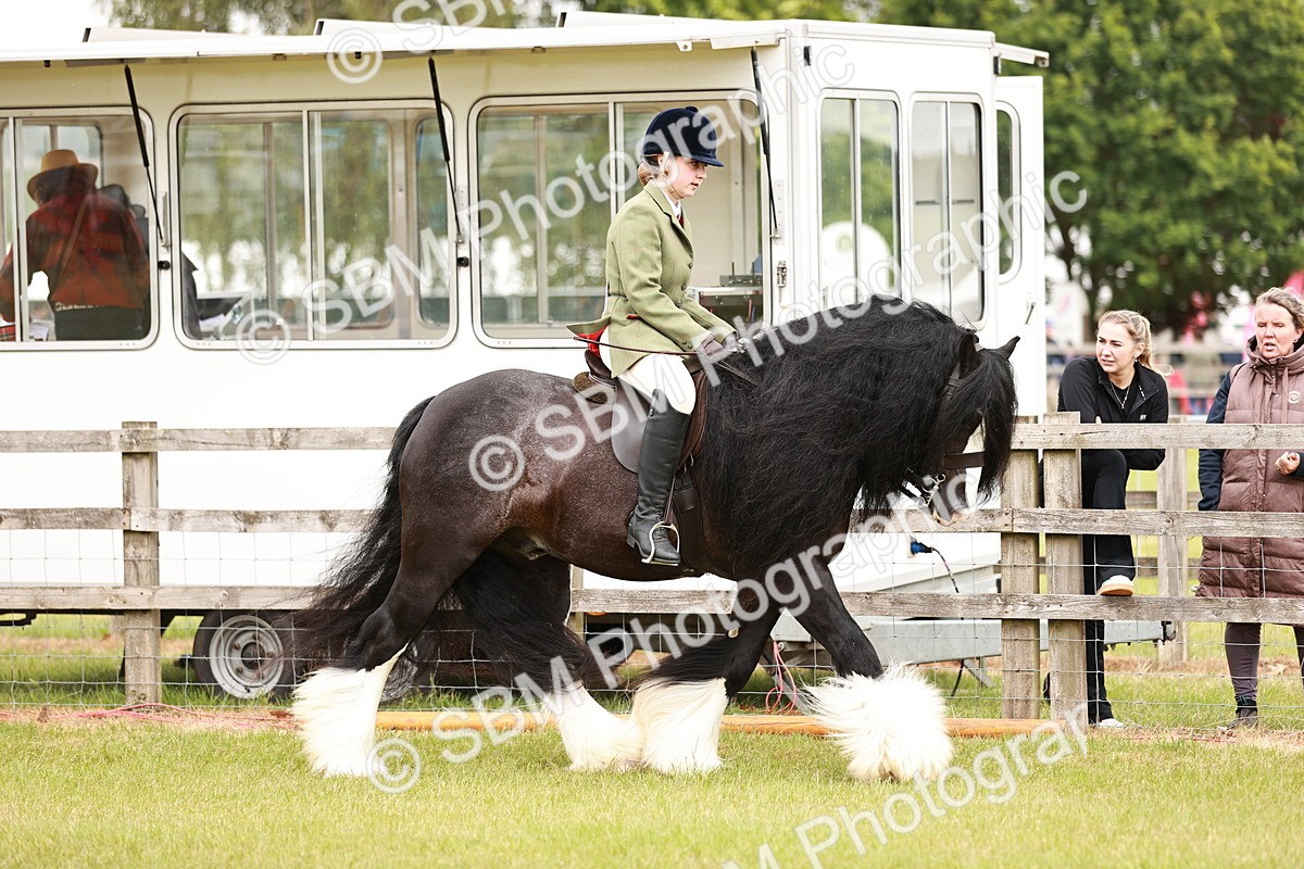 SBM_06109 - Class 39-41 TGCA In Hand and Ridden