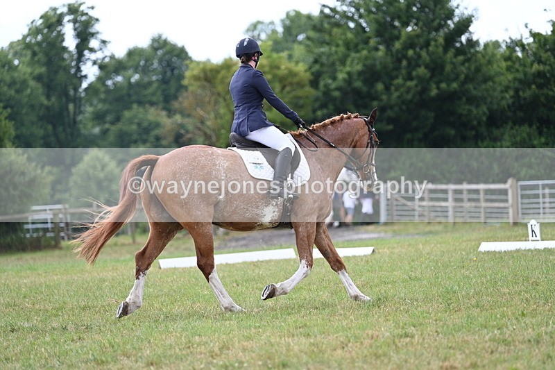 WJ7_5906 - Time 11:52 to 12:10