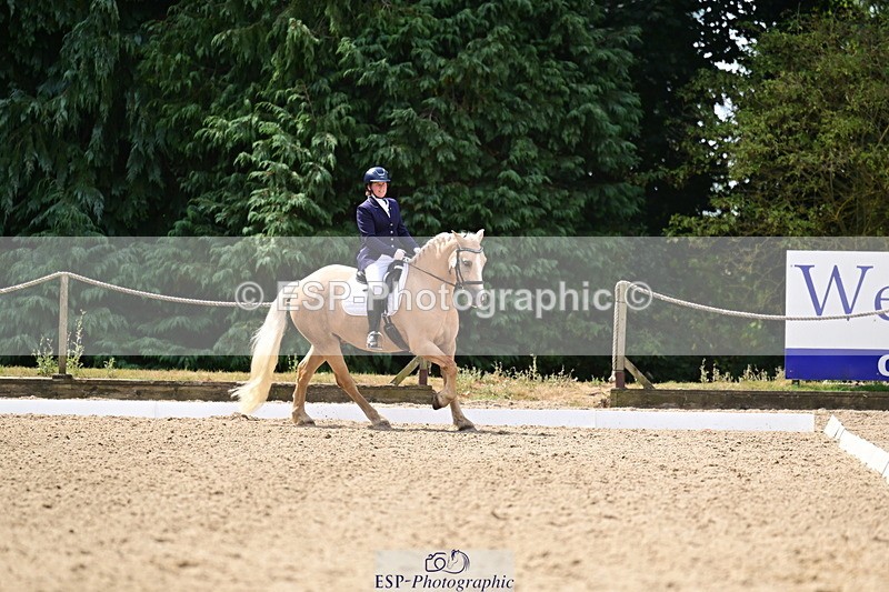 260802A-111216-05731 - Novice Silver break - break