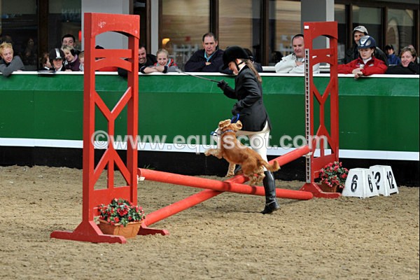 equiscot 3120 - NICOLA CAPPER