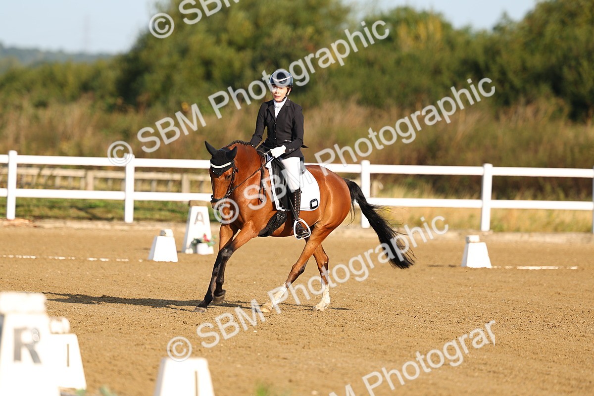 SBM_010084