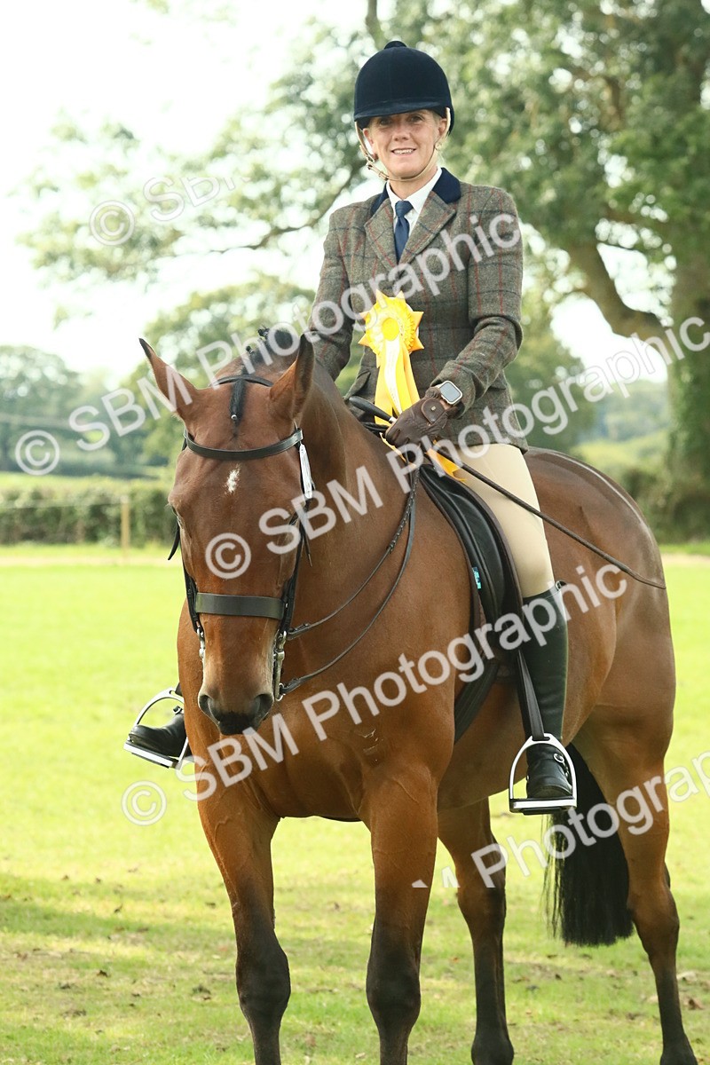 SBM_66782 - S34 - Rehabilitated Rescue Horse & Pony In Hand & Ridden