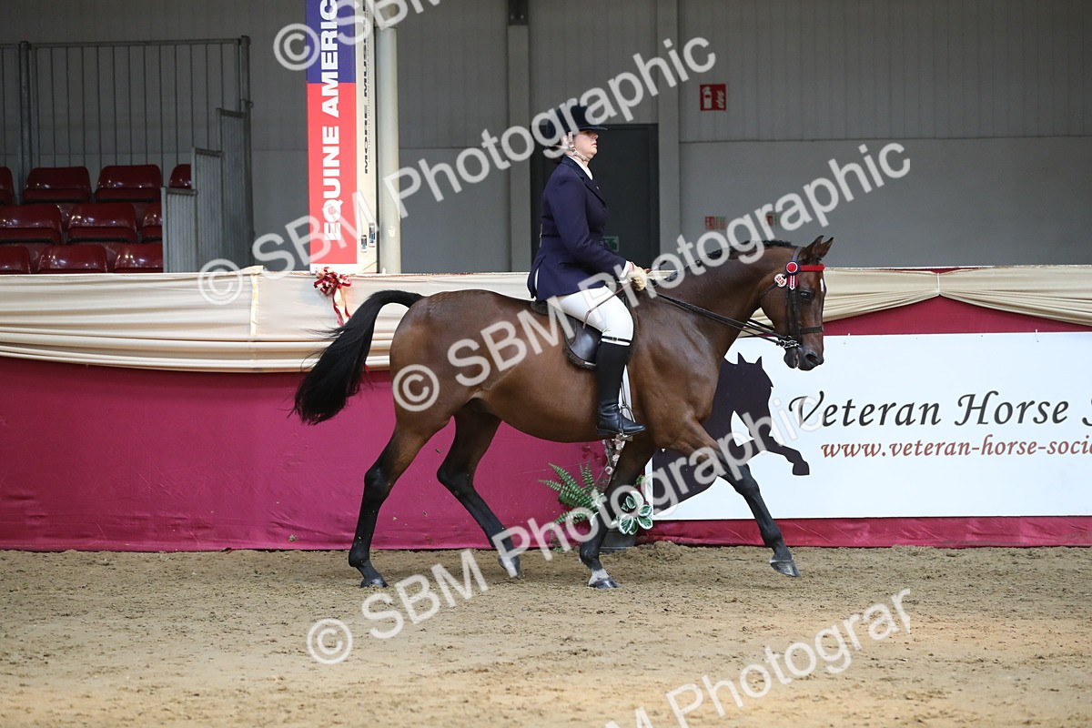 SBM_08291 - Class 11R Regional Ridden Veteran