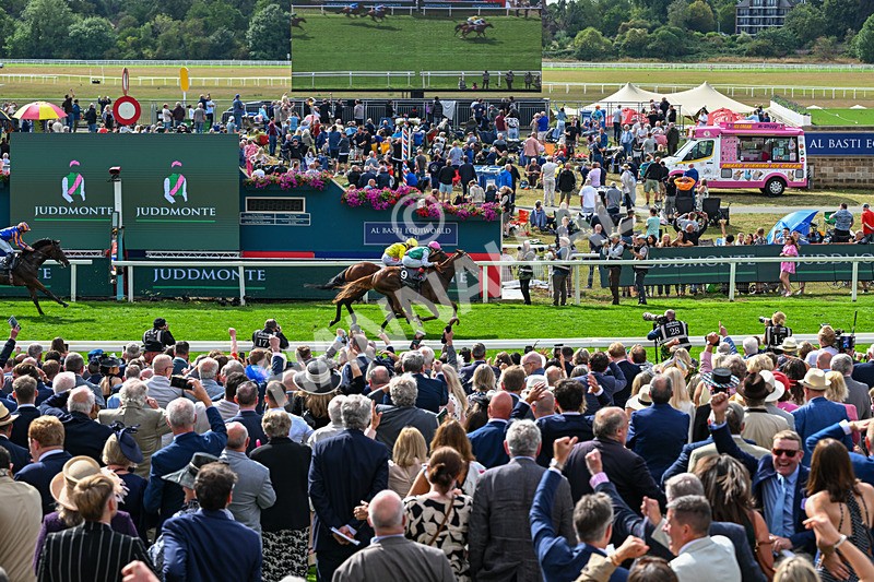 190826-Race 4-Item-1510 - Race 4 15.35pm Juddmonte International Stakes