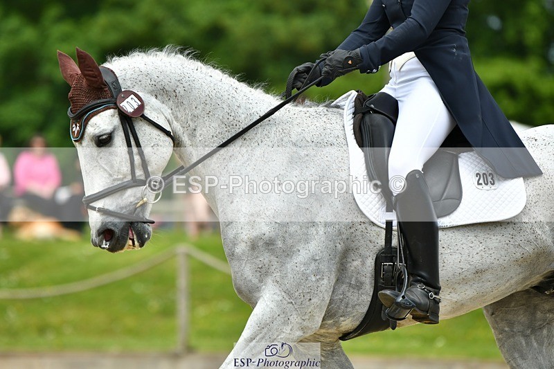 230525-114432-04094 - 203-DHI_CHILLI_START-Sophie_Hodgson-WEDTrotUp+DR