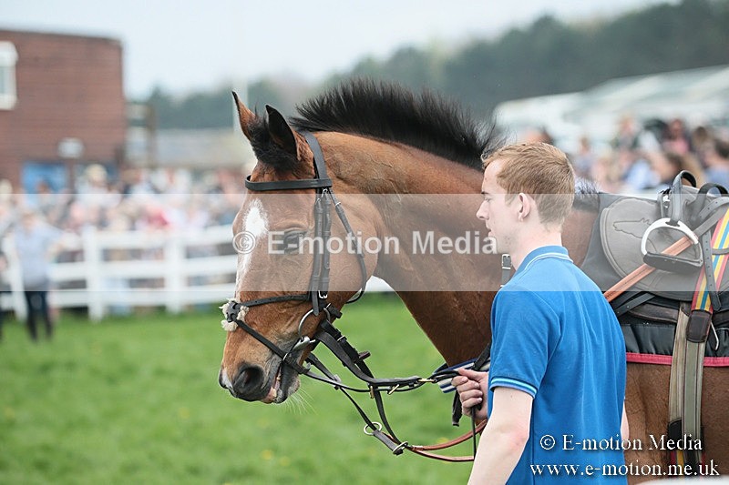 PtP 210418 158 - South & West Wilts Point-to-Point Larkhill 21/04/18