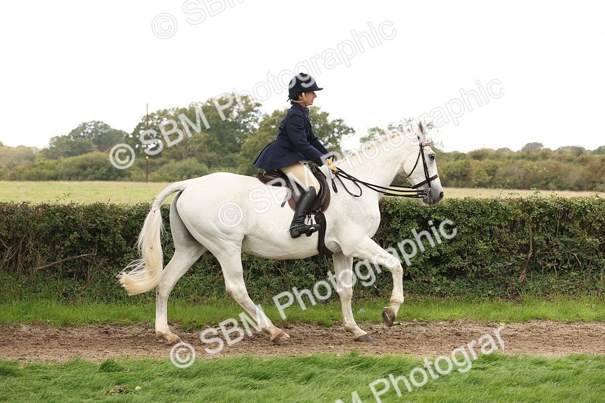 SBM_64195 - S65 - Riding Horse & Hack & Thoroughbred Ridden