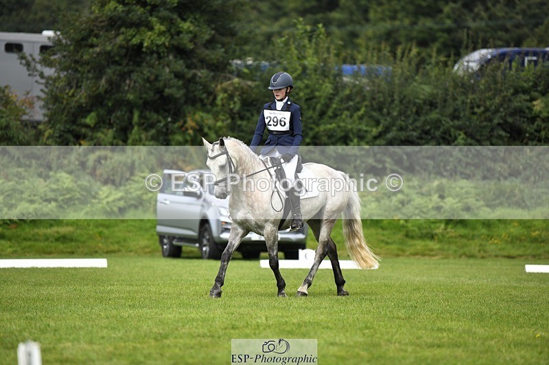 230826-112126-15834 - Sections C & D 10 to End