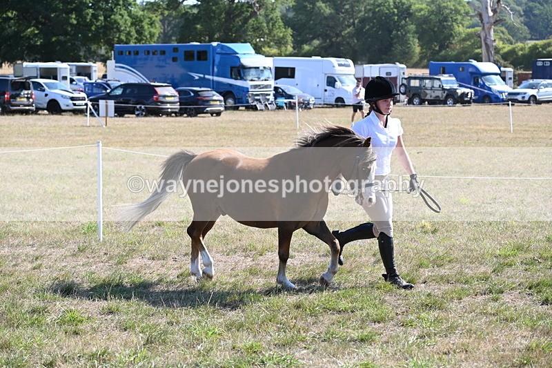 WJ6_7498 - Class 34 Judges Choice