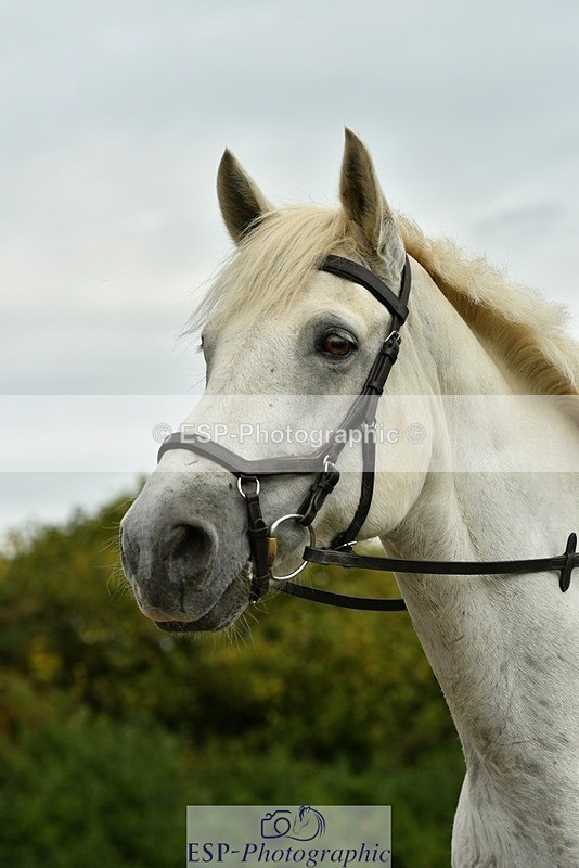 230817-152239-01476 - Theo's 2nd Group - XC