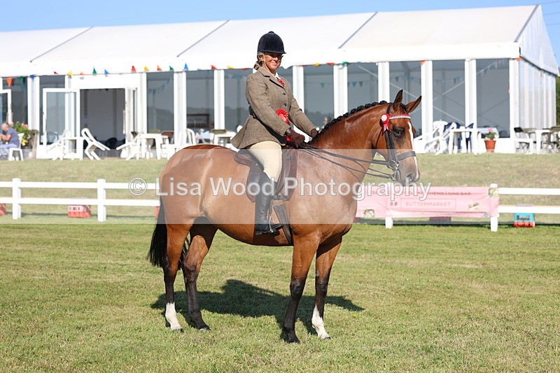 3E7A5182 - Class 1: Rising Star Small Hack/Riding Horses