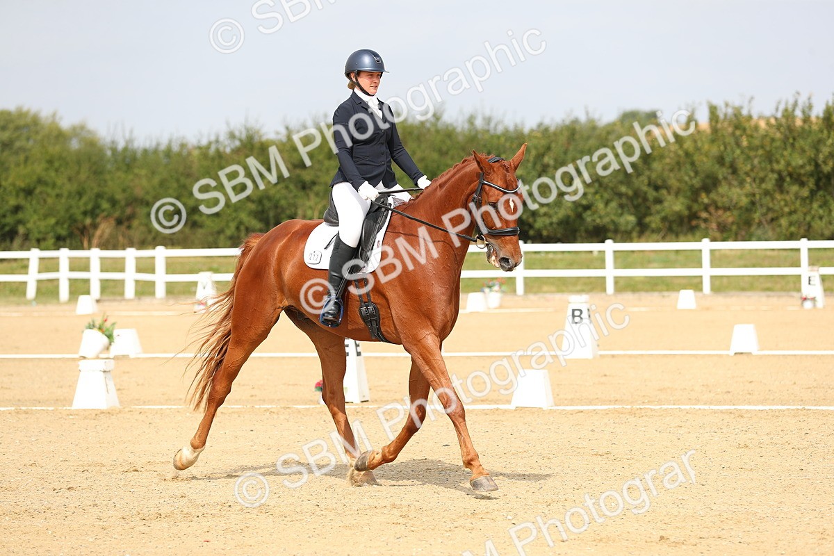 SBM_017286 - Class 13 - Novice 23 - 13.31-14.13