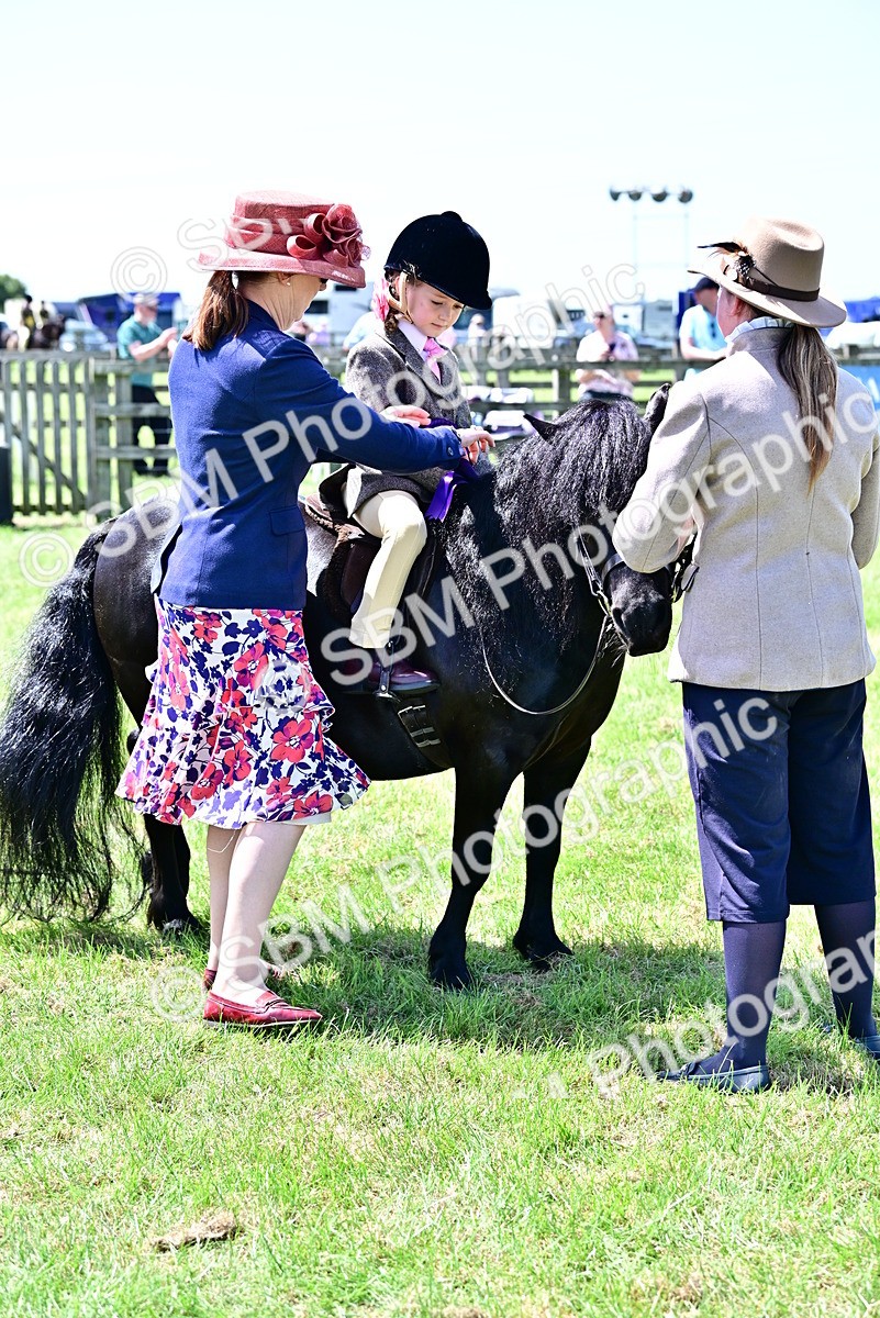 SBM_05969 - Class 59-60 - TSR M&M  Lear Rein and First Ridden Amateur of the year
