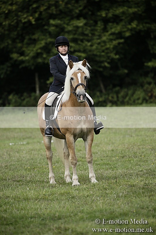BVR090918 67 - BVRC Dressage and Show Jumping 09/09/18