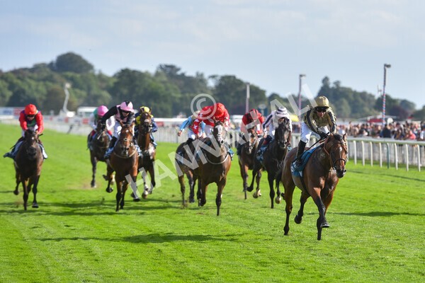 yr20082022r7-31 - Race 7 5.20pm Sky Bet Finale Stakes