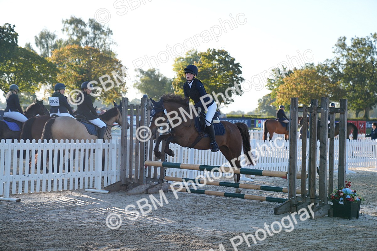 SBM_13939 - J59 - Clear Round - 65cm