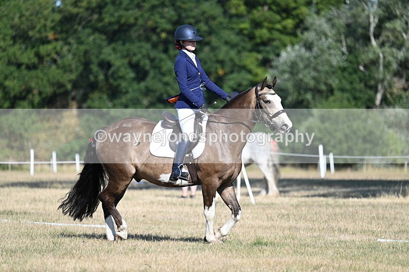 WJ7_8991 - Time 09:27 to 10:03