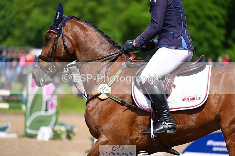 240526-104333-20132 - 352-SHANNONDALE_ALDO-Alexander_Bragg