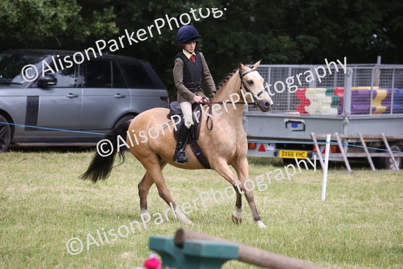 20260614-2976 - Class 22 - Open Working Hunter