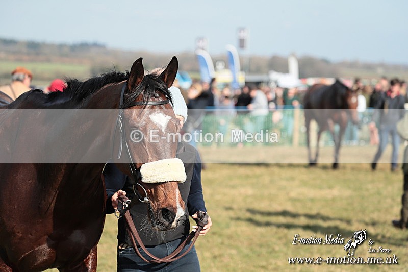 PtP 010325 353 - Beaufort Races Didmarton 01/03/25