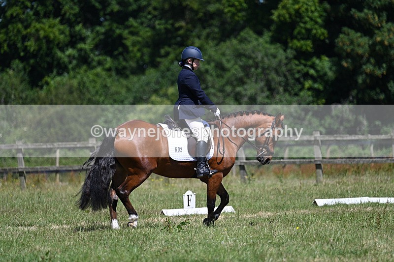 WJ7_0208 - Time 11:00am to 11:27am