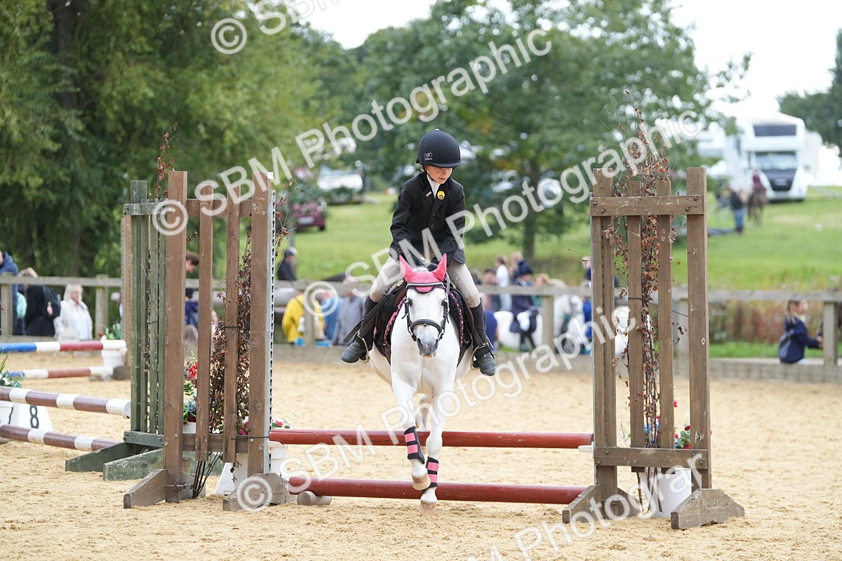 SBM_74652 - J4 - Mini Tour Junior Pony 45cm Championship