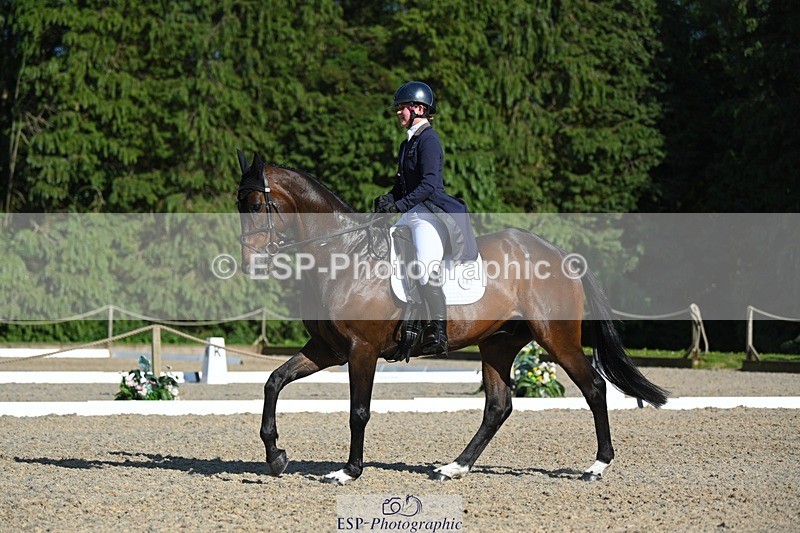 230526-172339-07591 - 263-CARWARTHEN_HARRIER-Polly_Muirhead-WEDTrotUp+DR