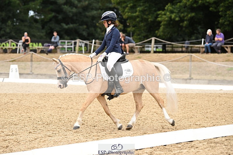 250808A-114206-00672 - 155-Rose.Cassapi-Westfirle.Golden.Oriole