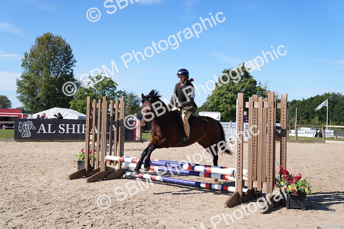 SBM_19571 - J57 - Clear Round 50cm