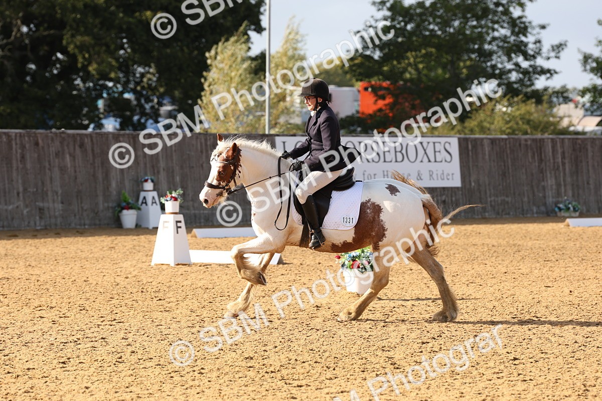 SBM_50521 - D12 - Small Tour Championship prelim 2