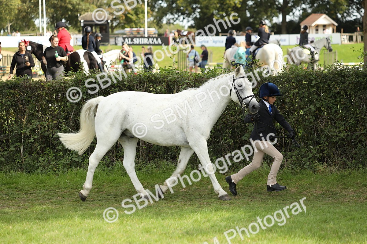 SBM_67713 - S39 - Junior Handler 8  Years & Under