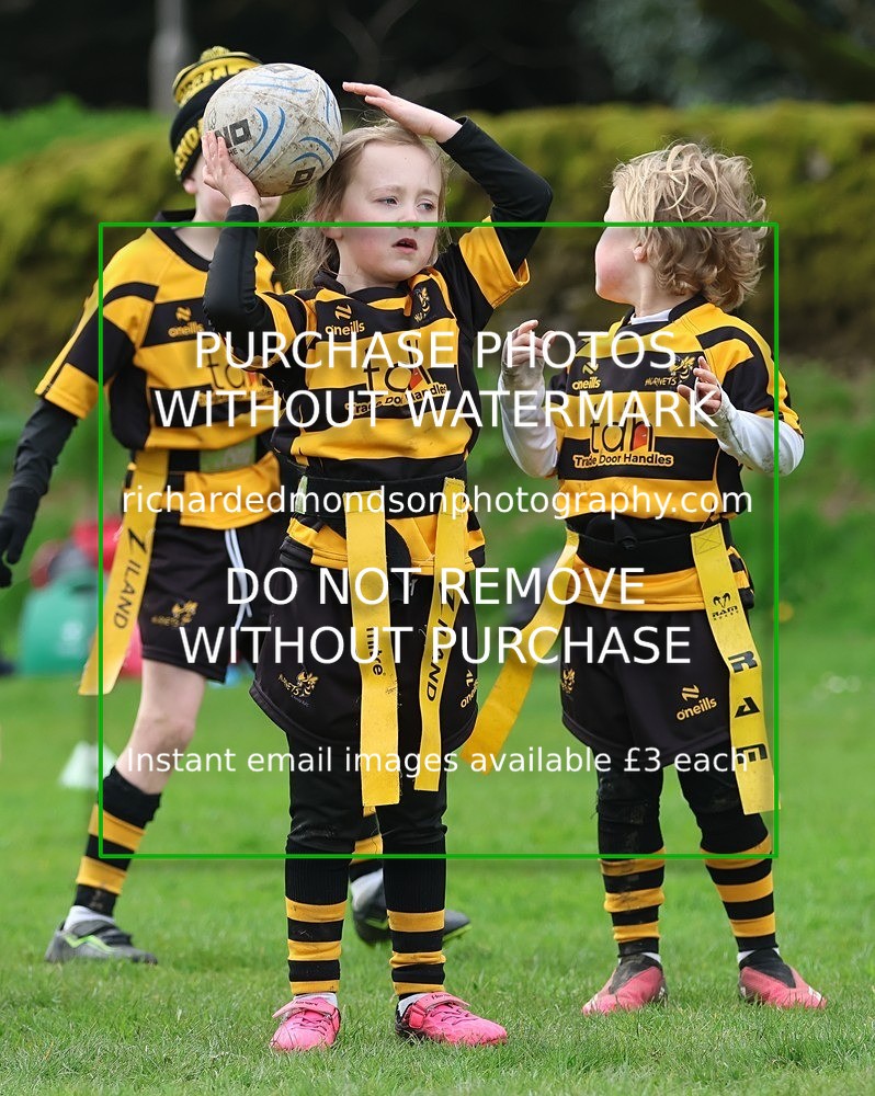 533A5271 - Kendal Rugby Under 7's (12/4/26)