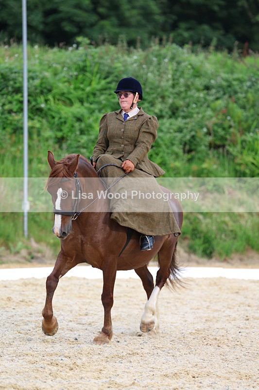 3E7A2066 - Class 3: Prelim 2 2024 Section A