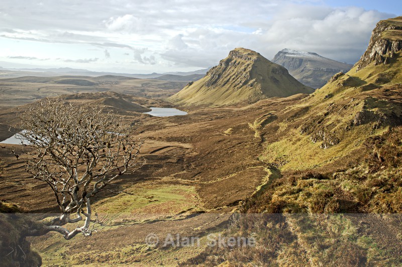 DSC04383 - Skye