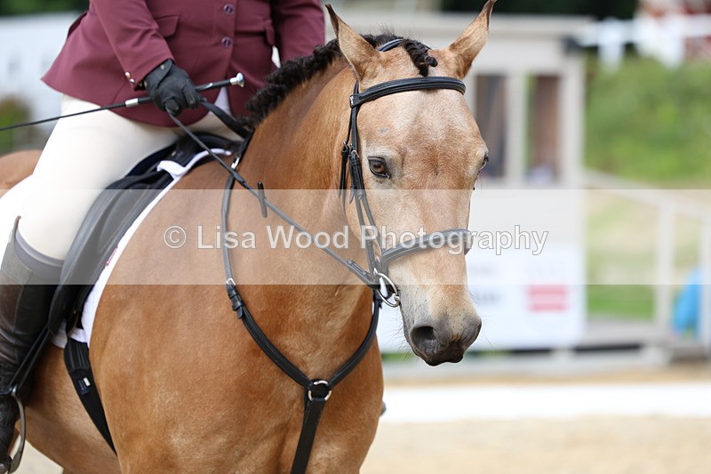 3E7A1485 - Class 2: Intro 2 2024 Section B