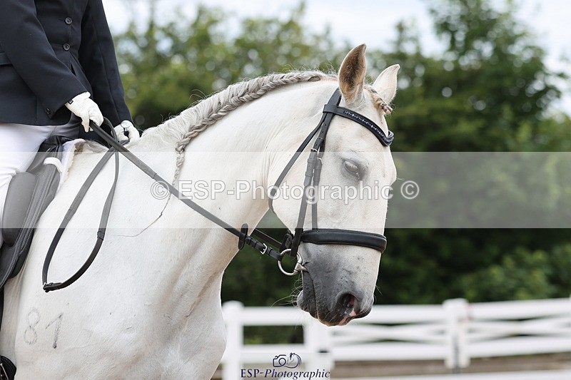 240622A-115030-09085 - Cls 30 BD Elementary 53